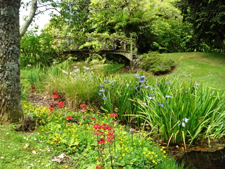 The wisteria festooned bridge in spring