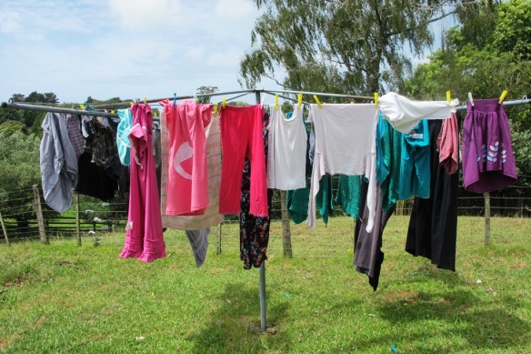 The utilitarian washing line in the garden